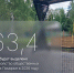 На благоустройство общественных территорий Поморья в 2026 году планируется направить 263,4 млн рублей - Сетевое издание Маяк