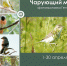 «Чарующий мир птиц» - Межпоселенческая библиотека